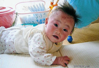 画像の説明 画像の説明