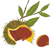 画像の説明 画像の説明