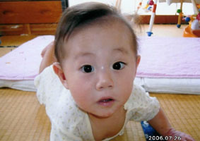 画像の説明 画像の説明